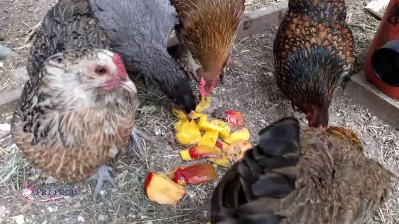 Can Chickens Eat Peaches