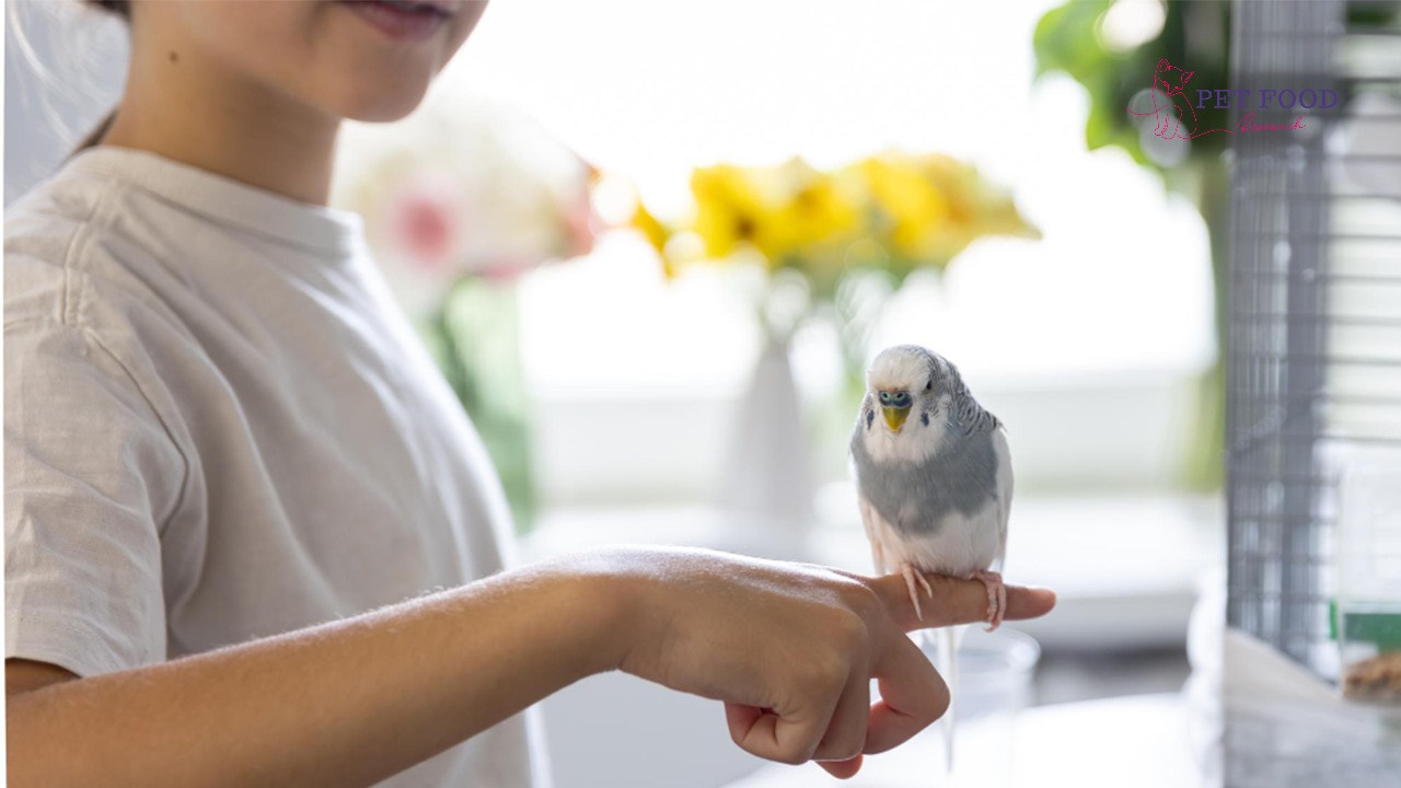 What eats Birds