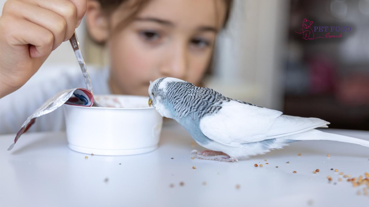 What eats Birds