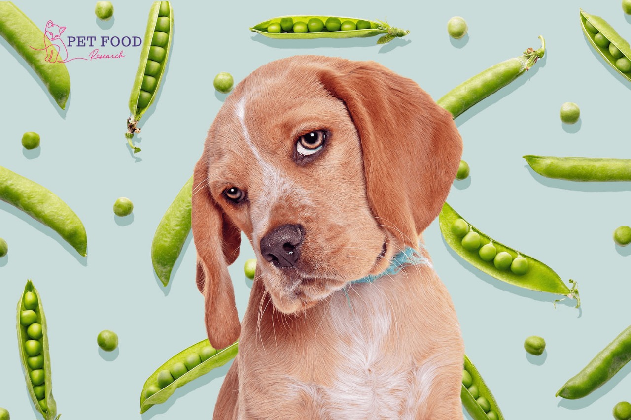 Can Dog Eat Peas