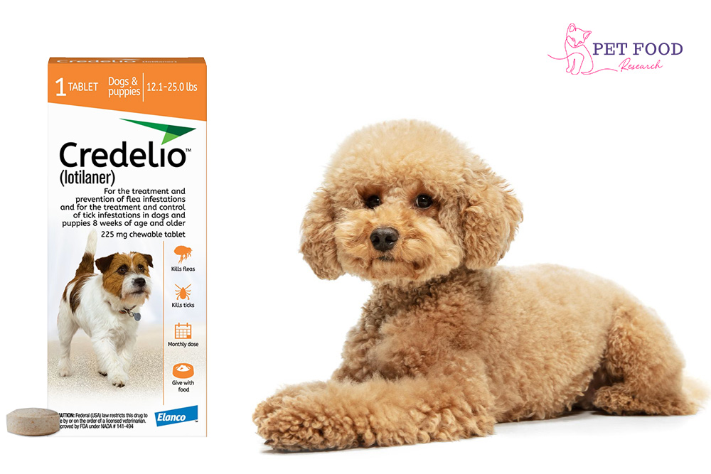 Credelio for Dogs | petfoodresearch