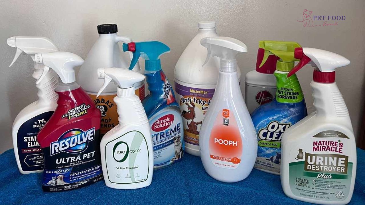 Enzyme Cleaner for Cat Urine