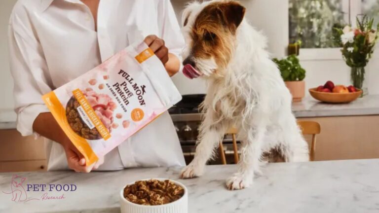 High Protein Dog Food